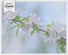 April Real Estate Newsletter Template | Realtor Email Marketing | Editable Canva Newsletter | Spring Real Estate Marketing